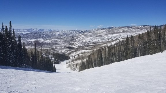 Welcome to the Steamboat Springs KOA