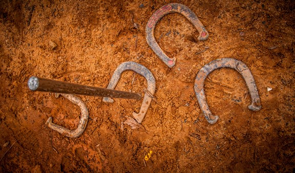 Horseshoes