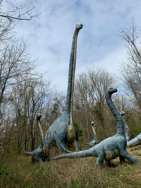 Dinosaur Valley State Park