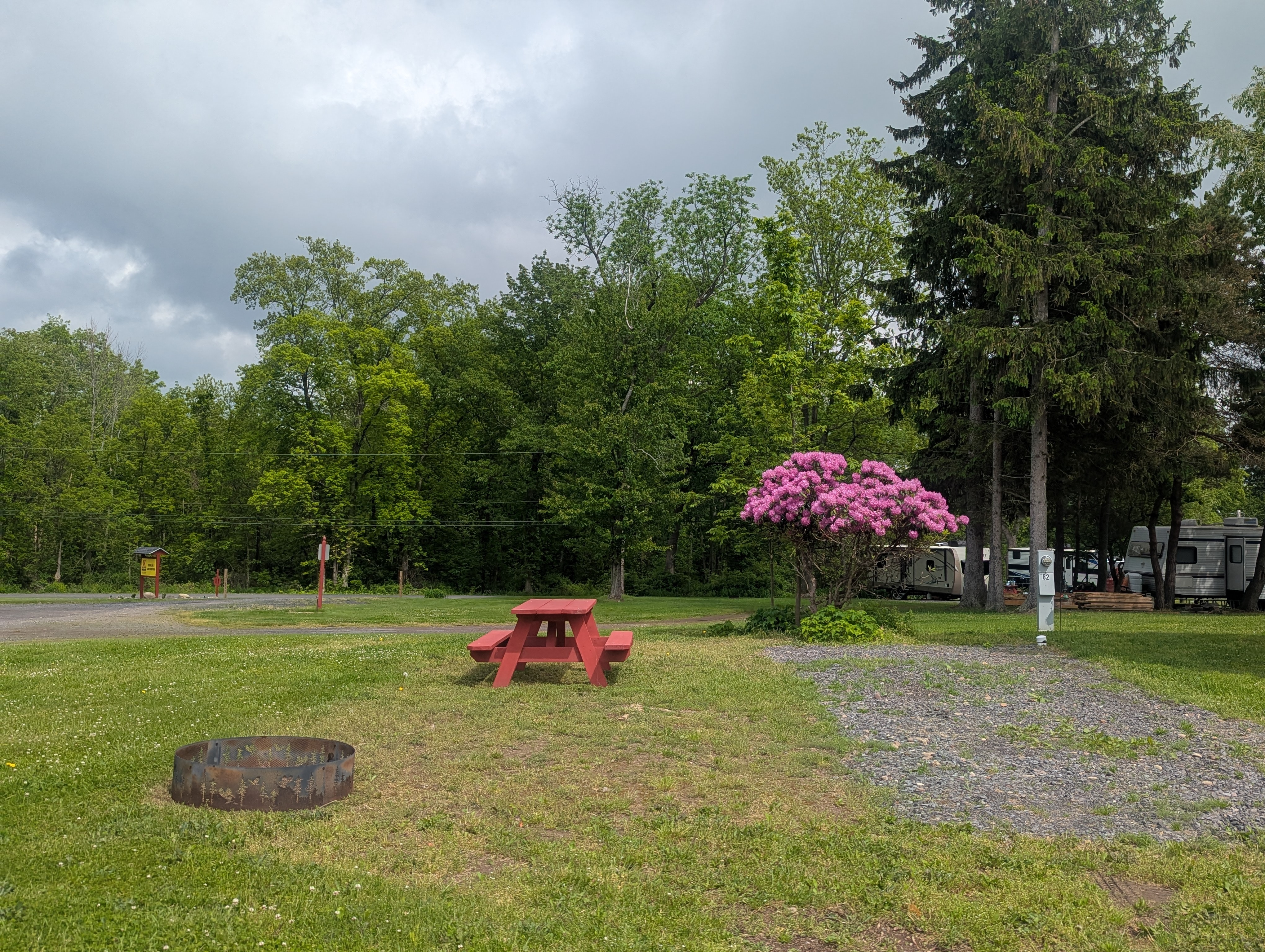 Site 82