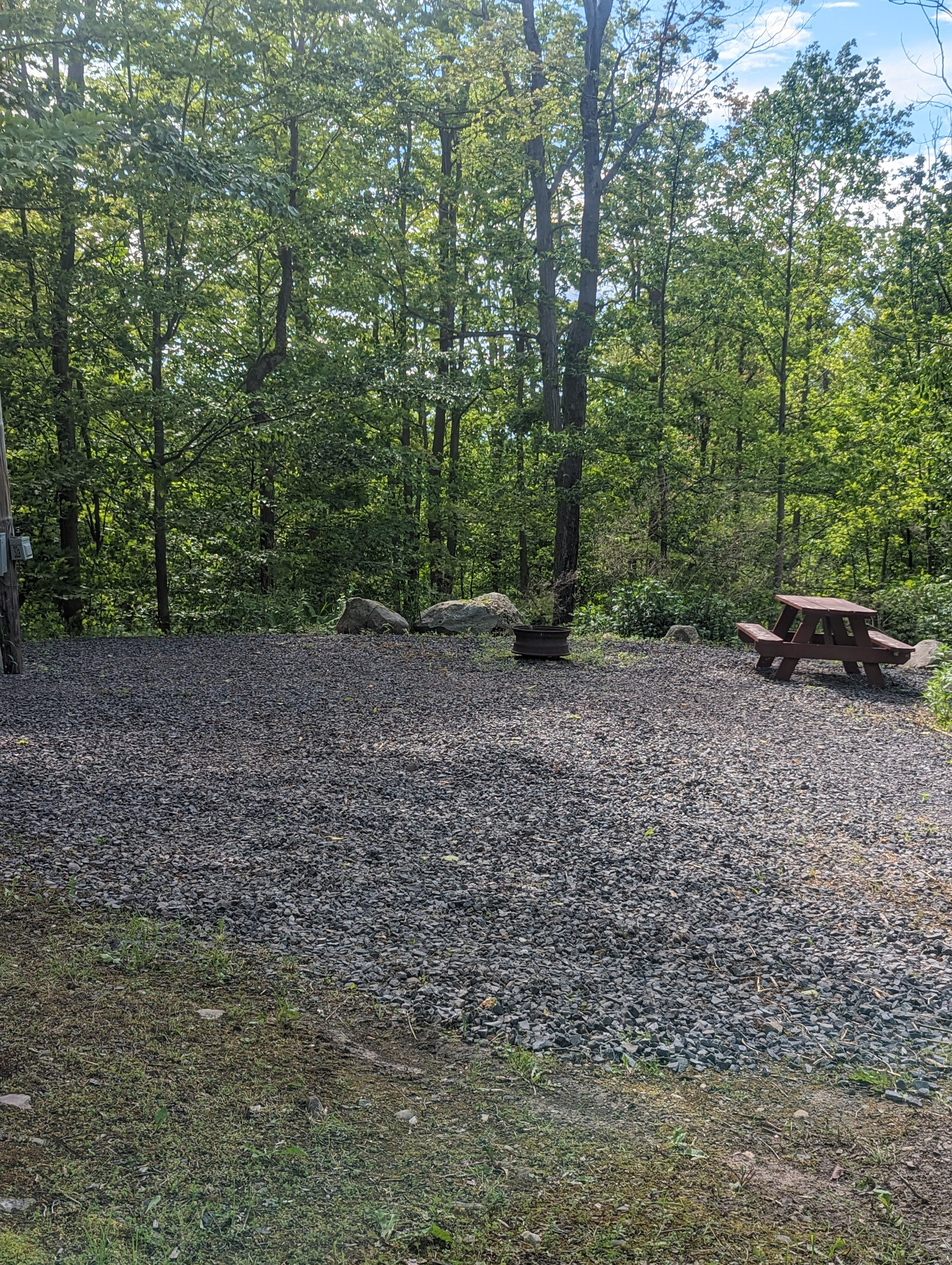 Site 41