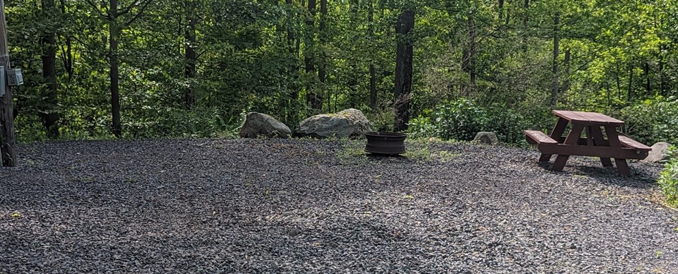 Site 41