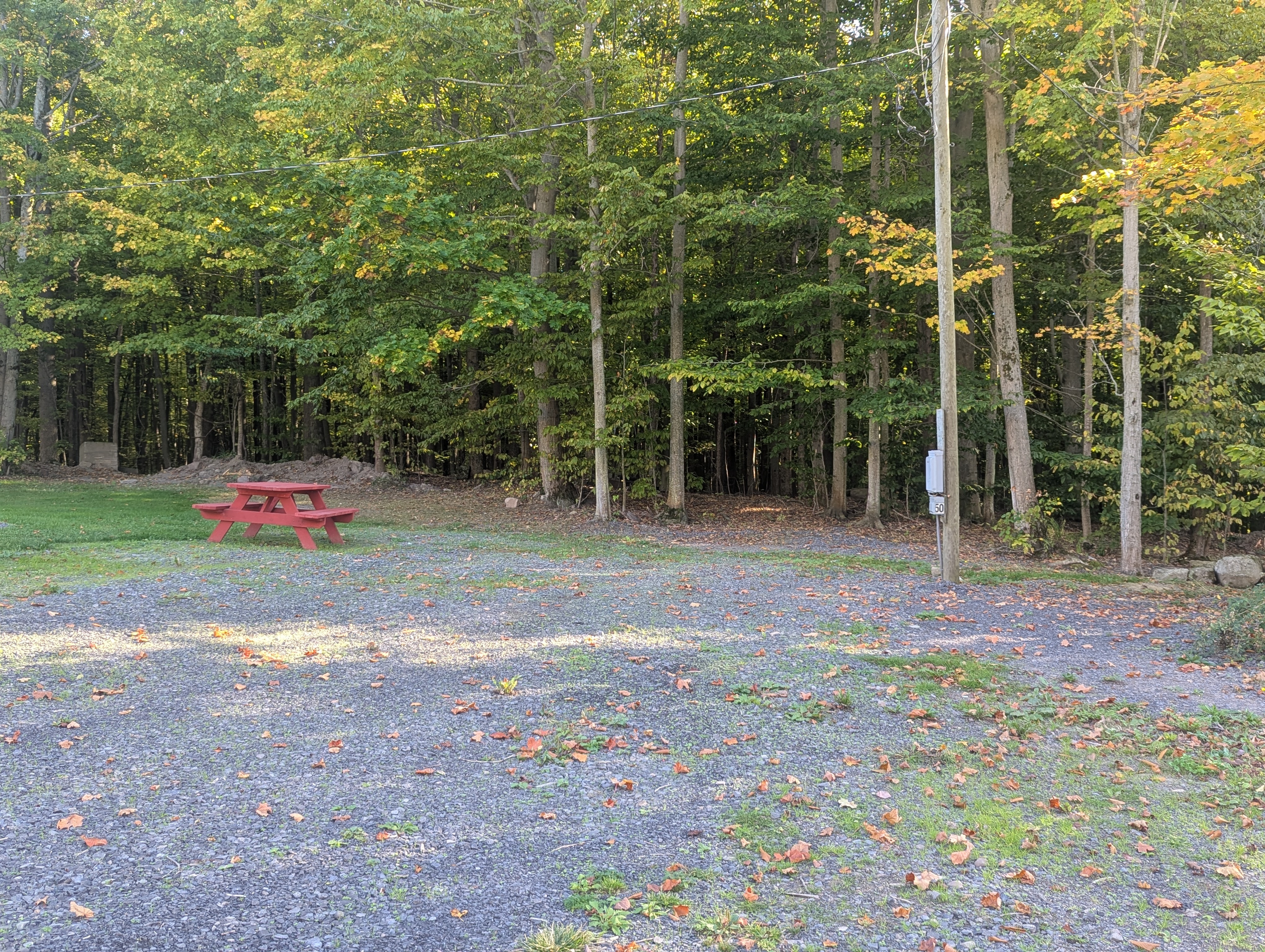 Site 50