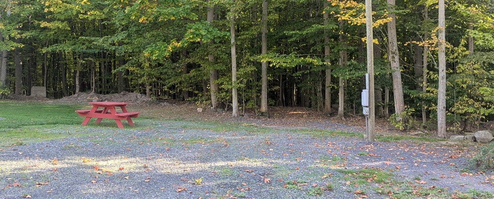 Site 50