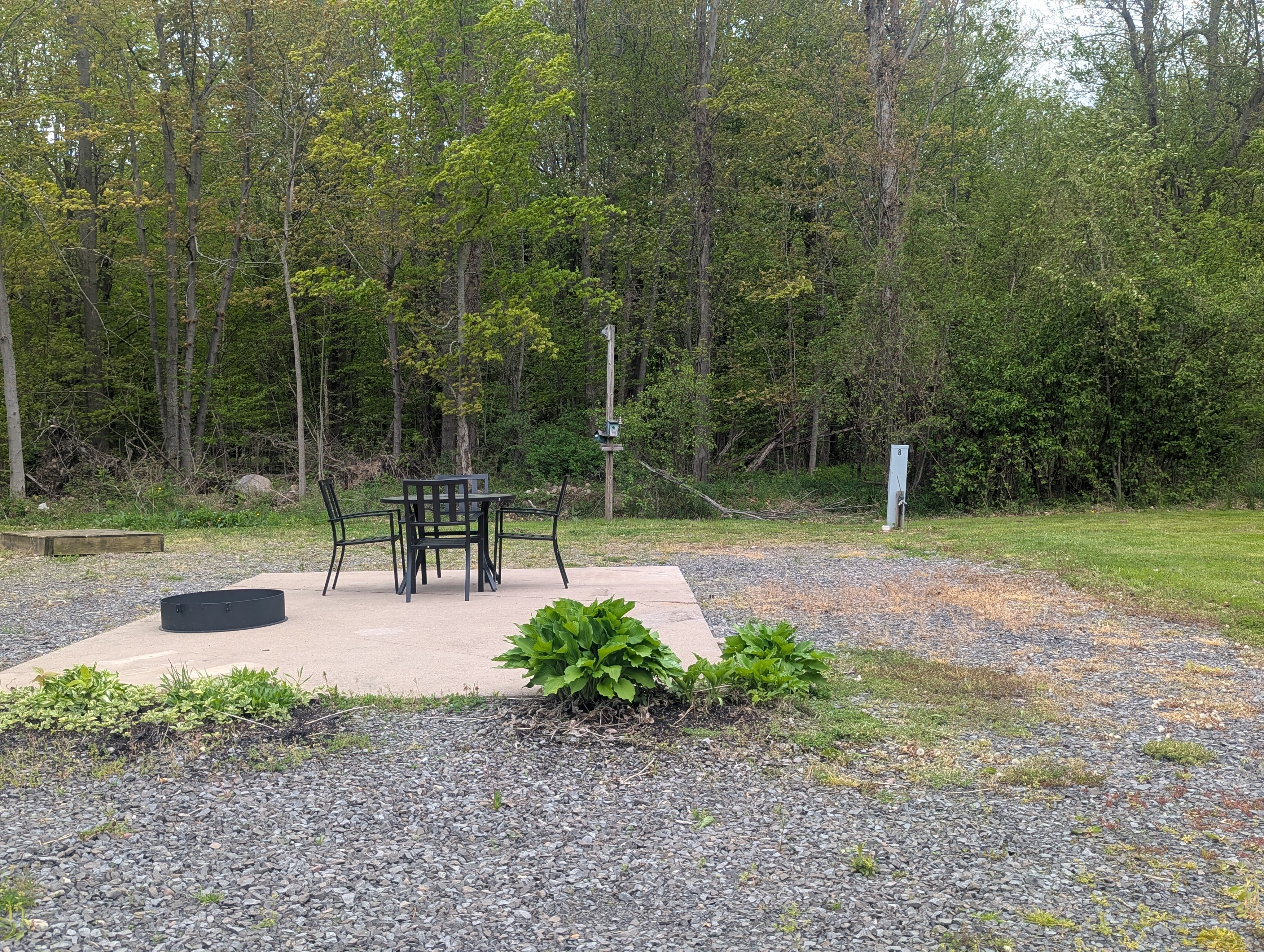 Site 8