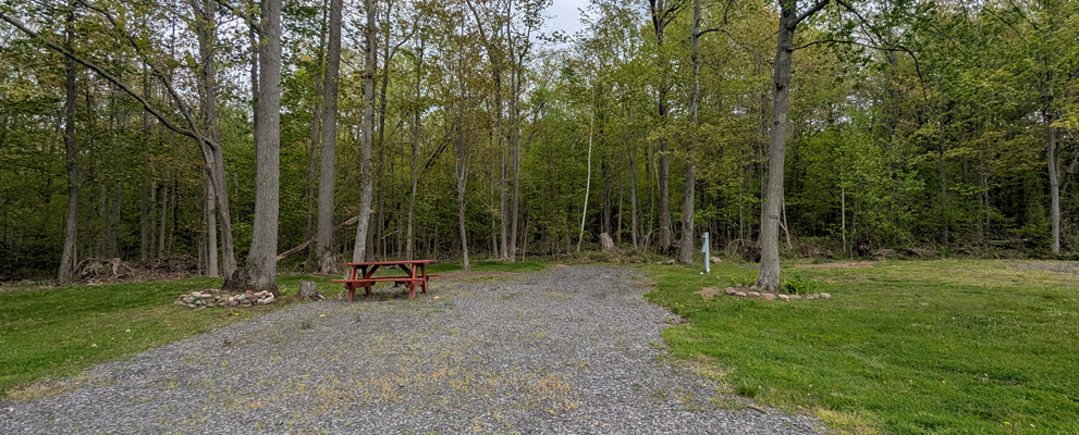 Site 10