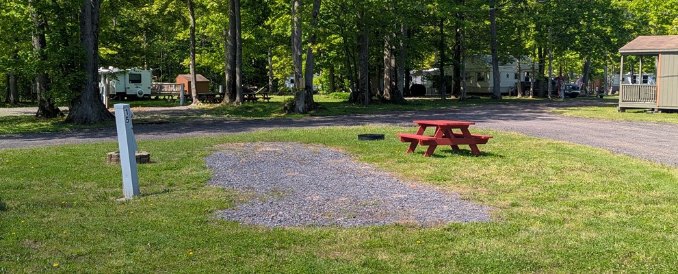 Site 15