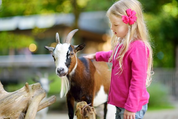 Jenness Farm