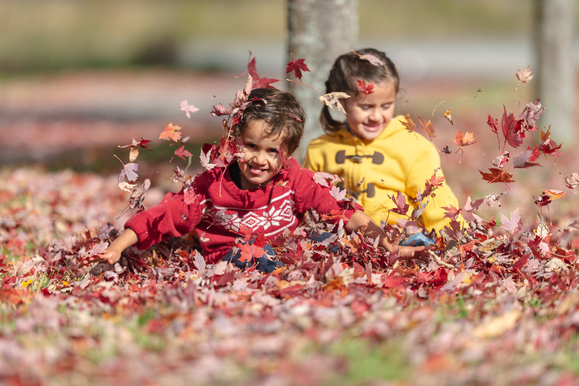 Fall Fest Weekend Photo