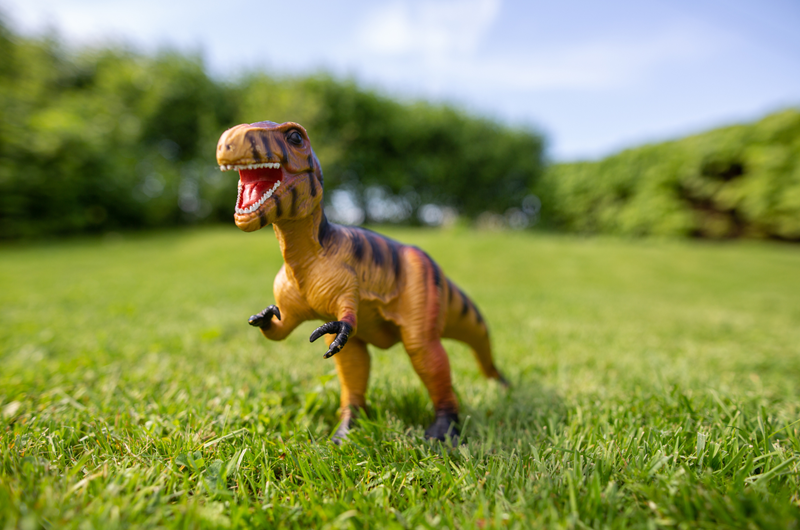 Prehistoric Times Photo
