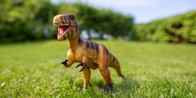 Prehistoric Times