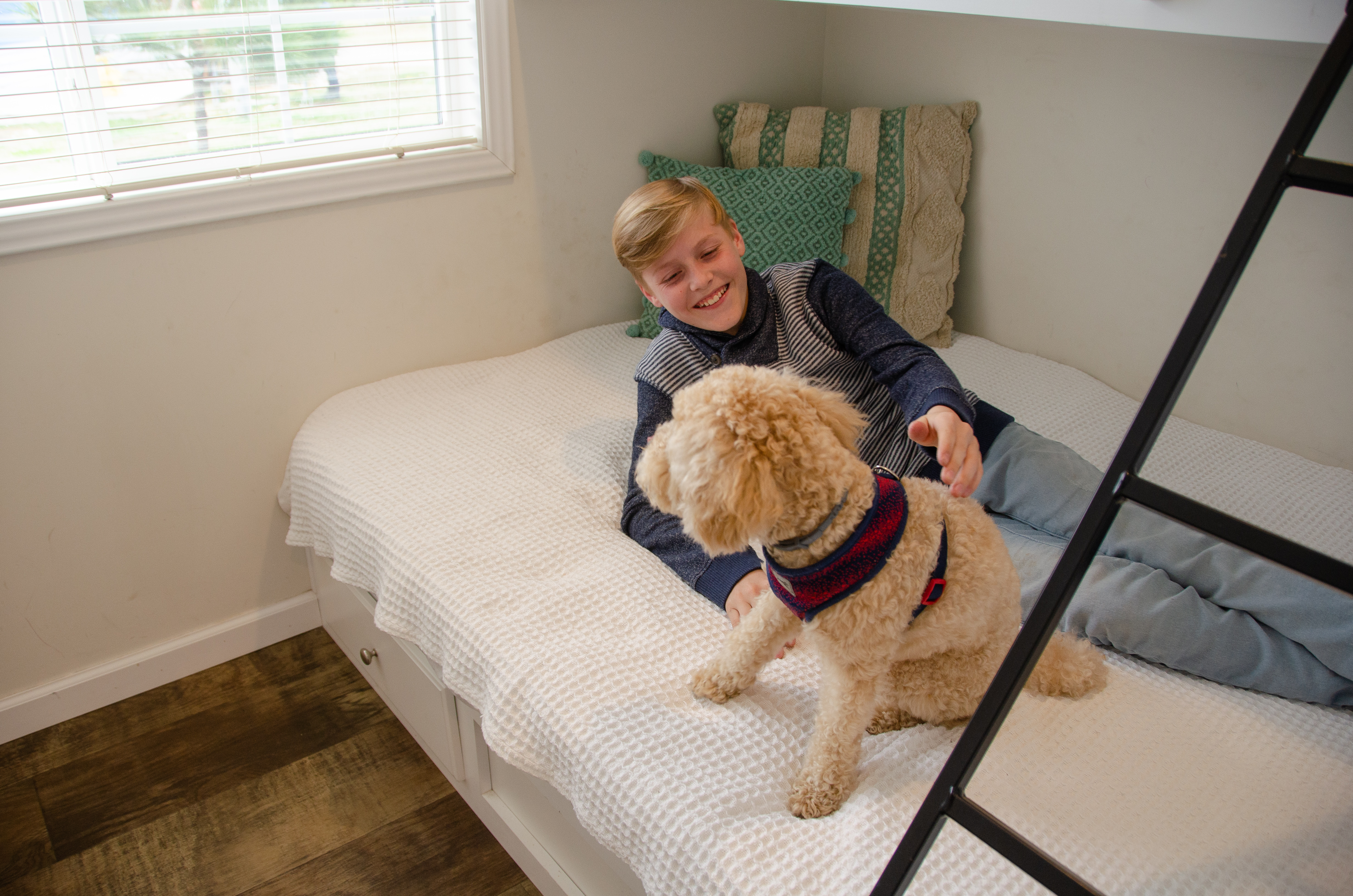 Pet Friendly Cabins
