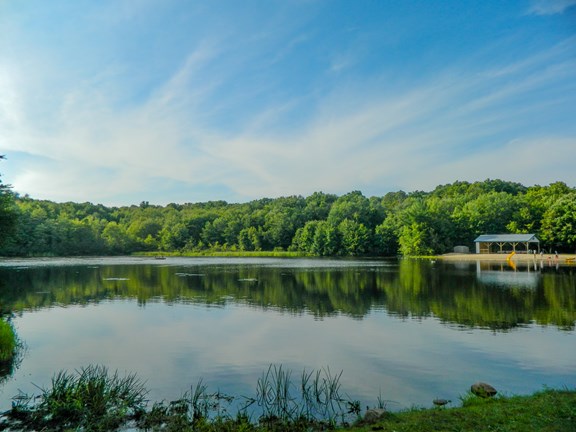 Enjoy the clear pond view