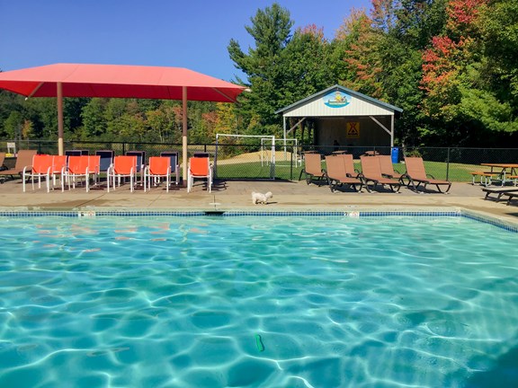 Sit back and relax by the pool