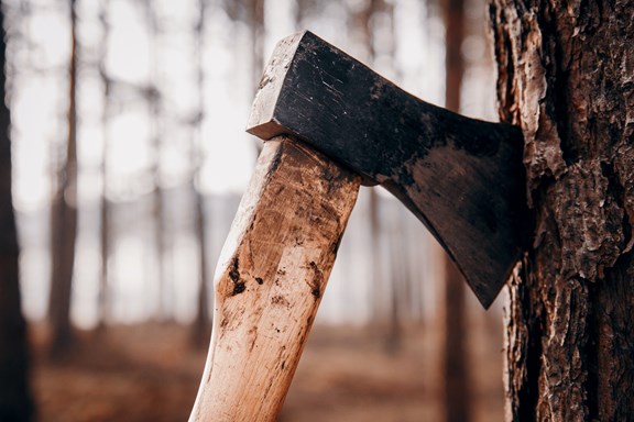 TimberBeast Axe Throwing