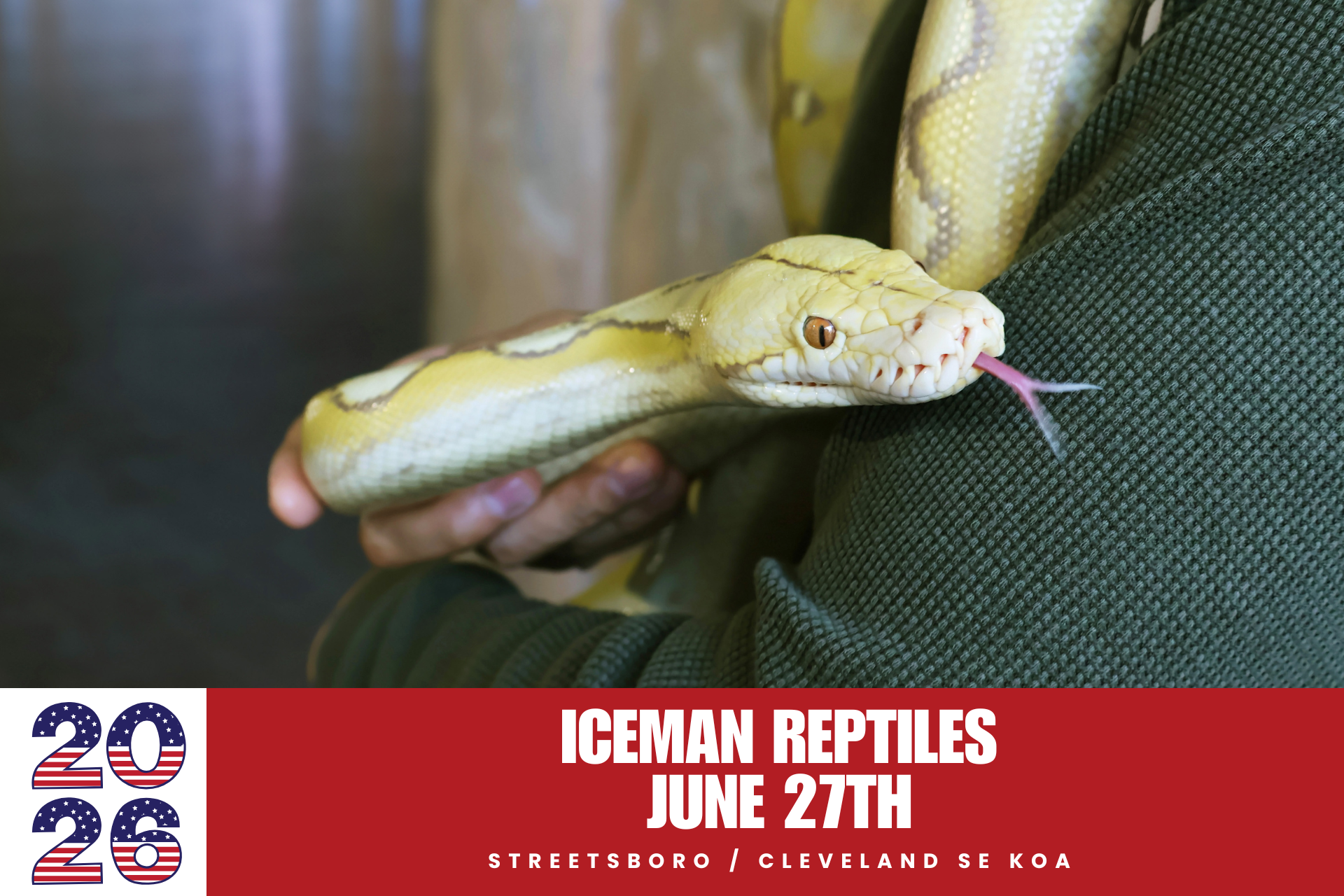 Iceman Reptiles Photo