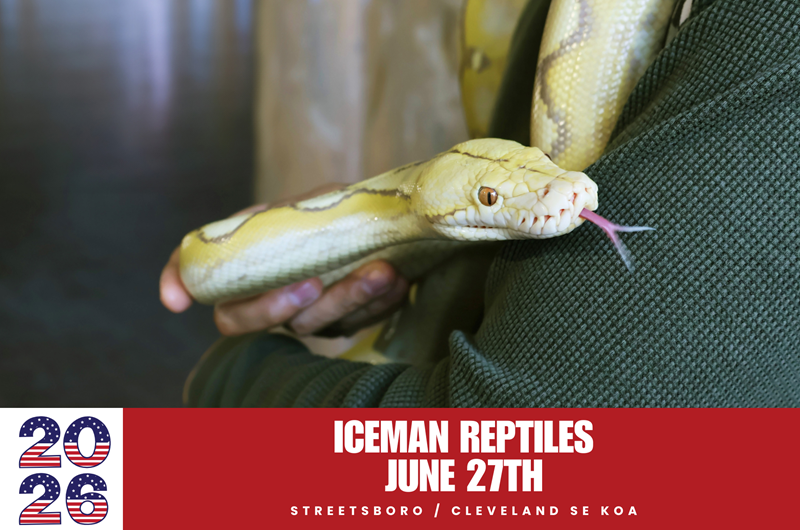 Iceman Reptiles Photo