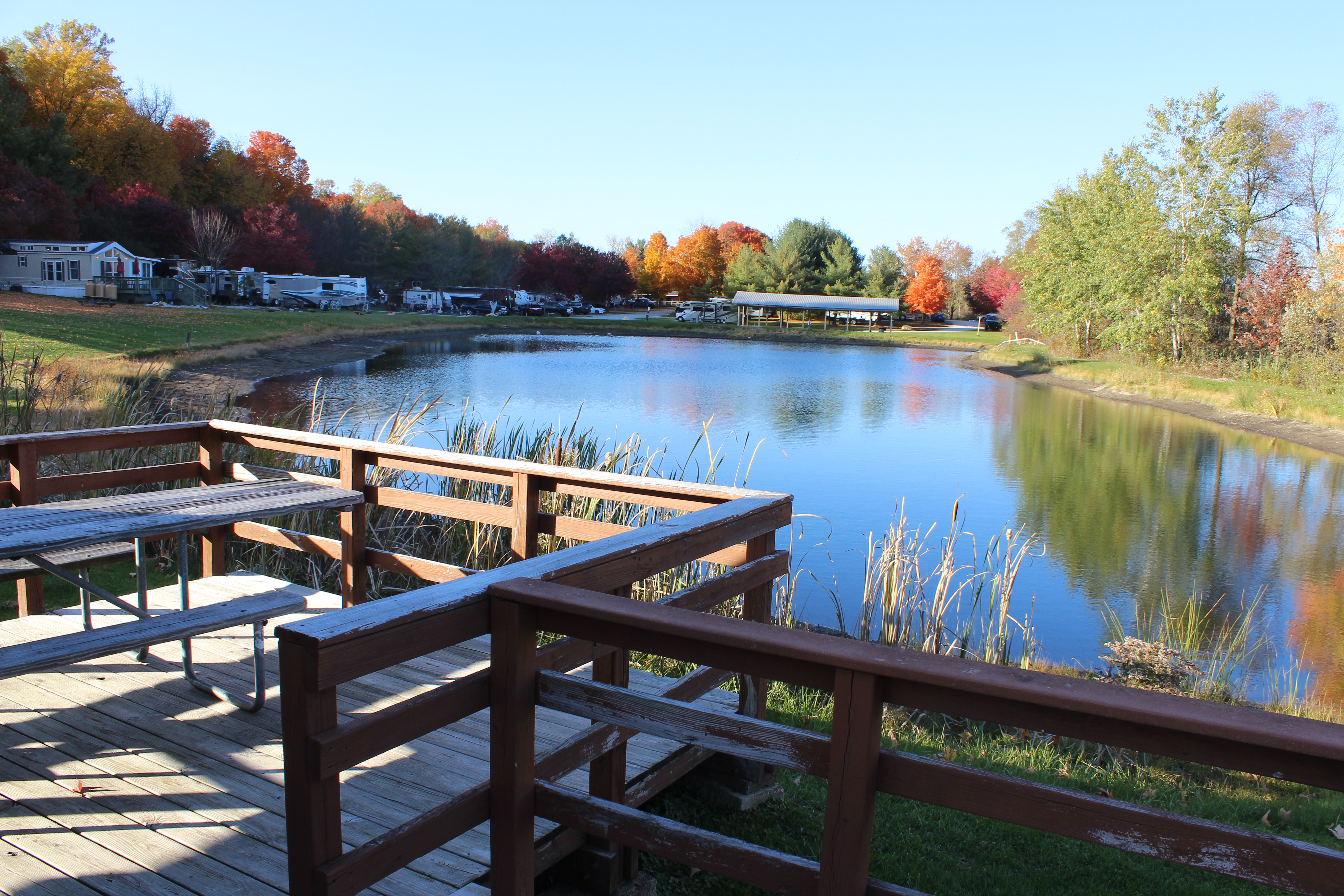 Waterfront Cabin View