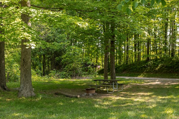 Basic Tent Site