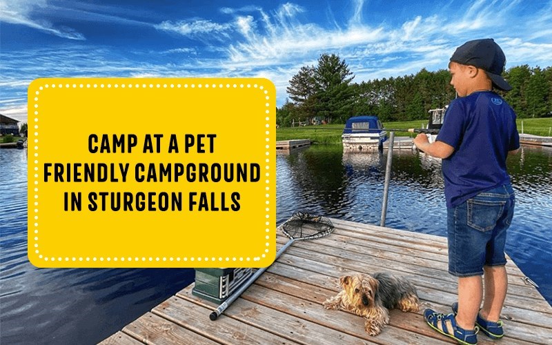 Camp at a Pet-Friendly Campground in Sturgeon Falls