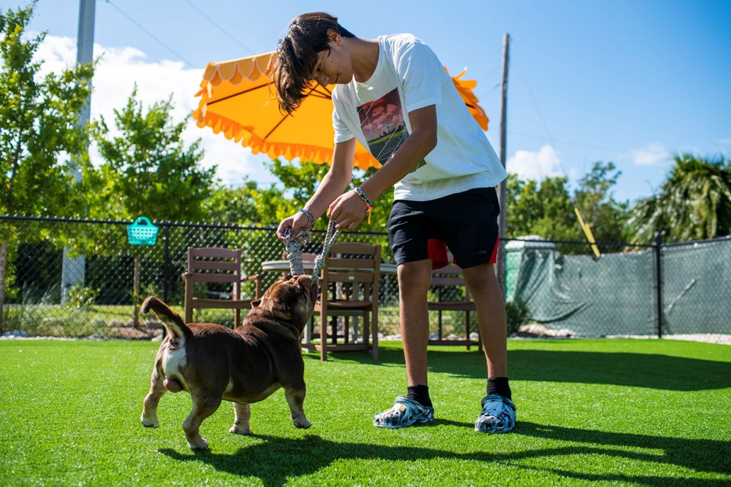 Top Tips for Camping With Your Pet