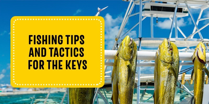Fishing Tips and Tactics for the Keys