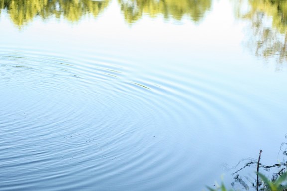 Swimming Pond