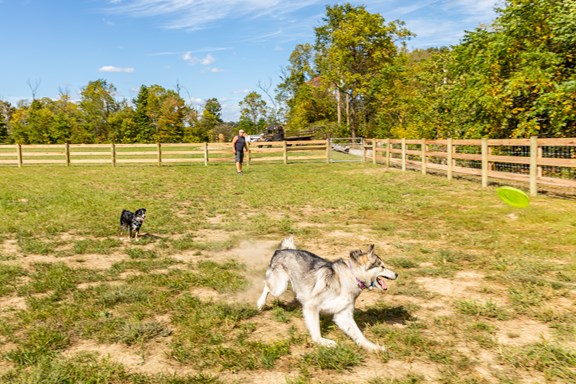 KampK9  Bark Parks
