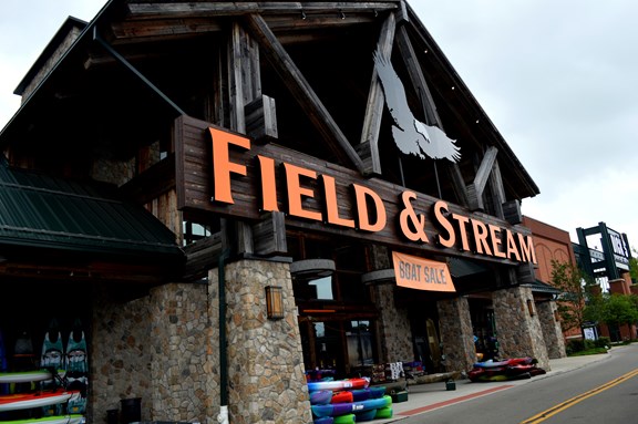 Field & Stream