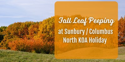 The Ultimate Guide to Leaf Peeping in Sunbury &amp; Columbus