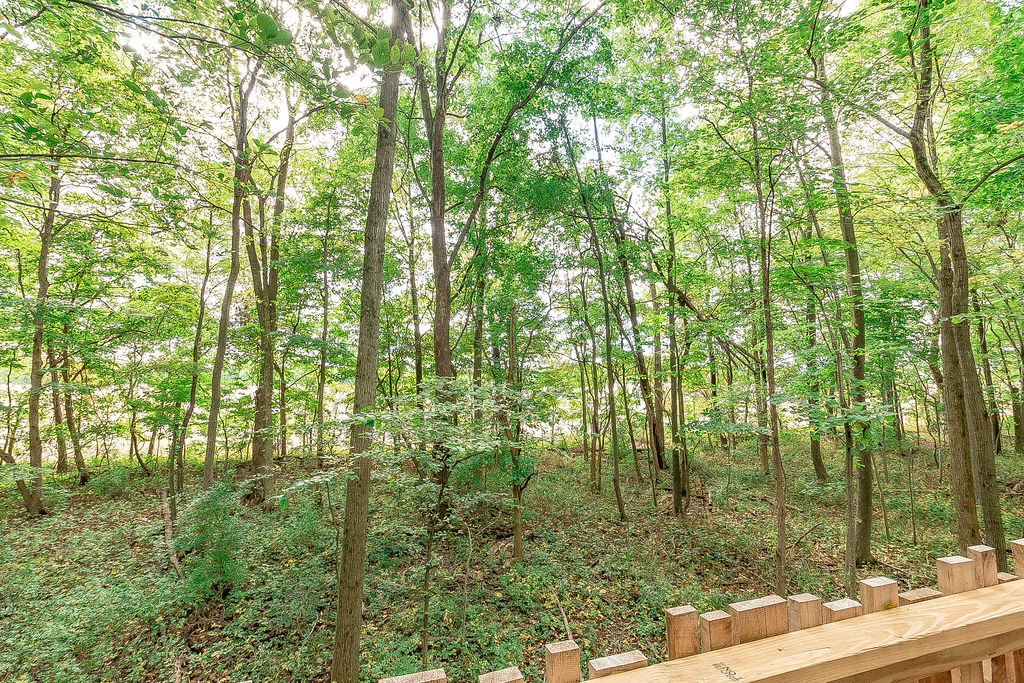 TREEHOUSE