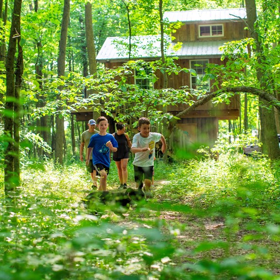 Tree House