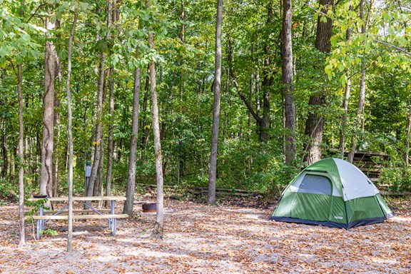 Welcome to the Sunbury / Columbus North KOA