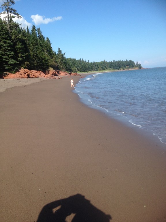 Beaches