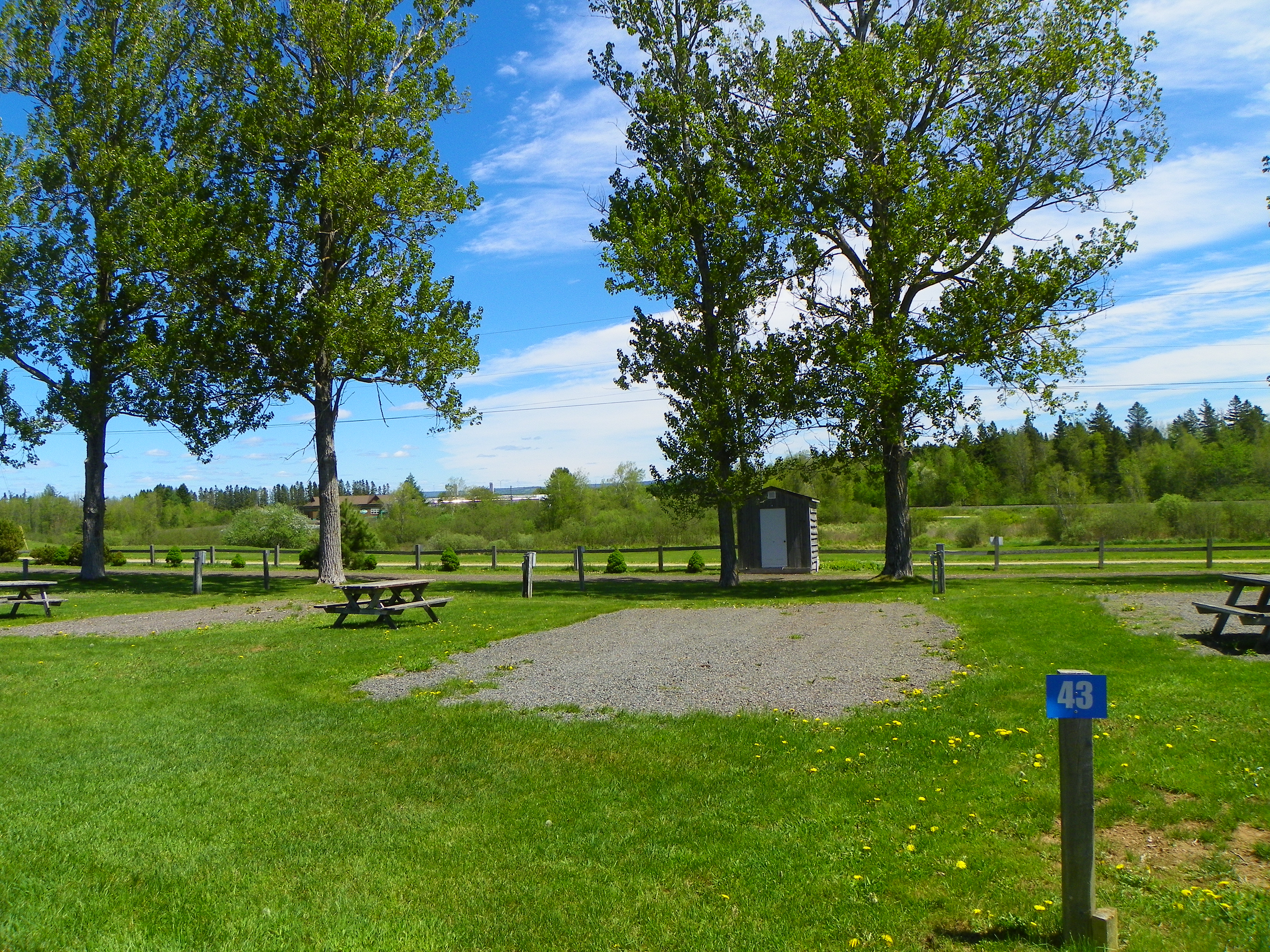 site #43