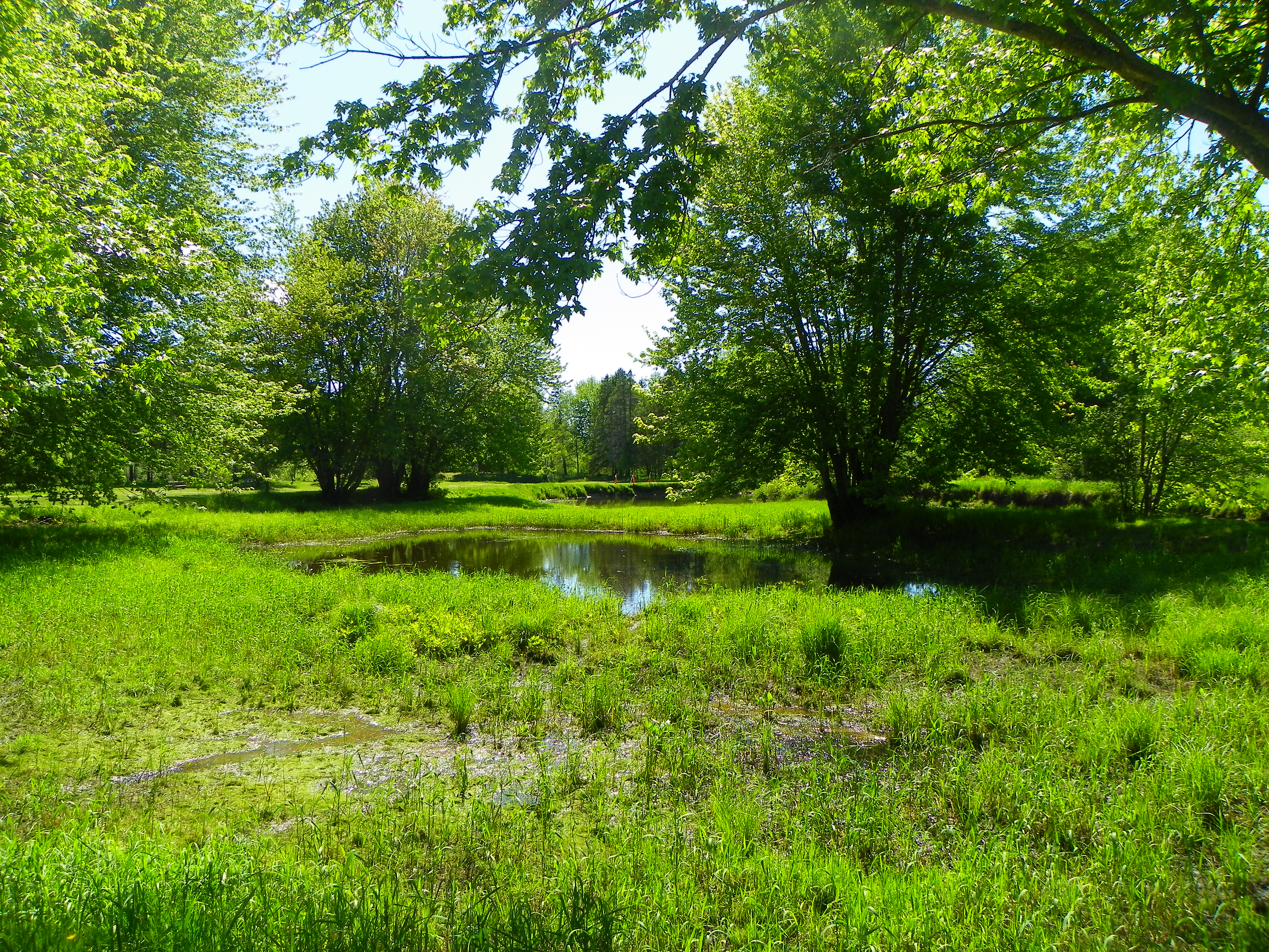 river area