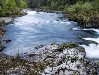 Umpqua River - Shad & Bass Fishing