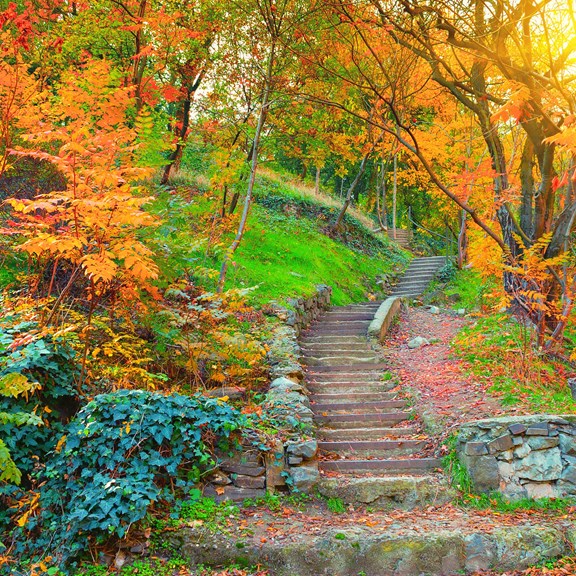 Lithia Park