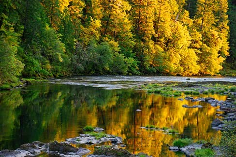 5 Family Friendly Fall Activities in the Umpqua Valley