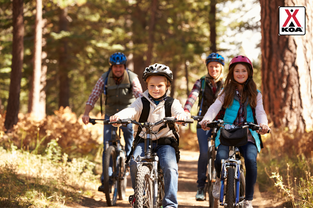Mountain Biking in the Umpqua Valley