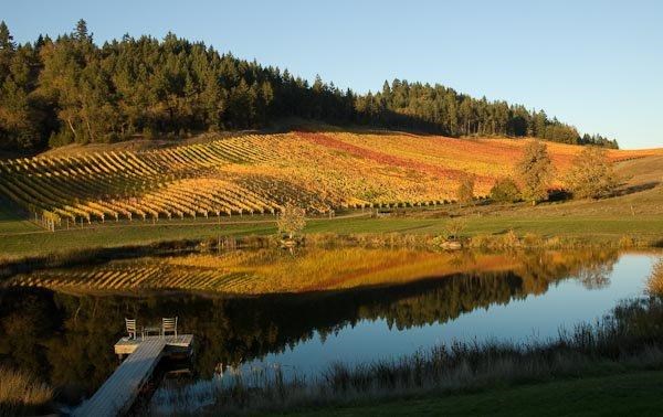 Best Things to Do Near Sutherlin, OR for RV Travelers (2026)