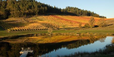 Best Things to Do Near Sutherlin, OR for RV Travelers (2026)