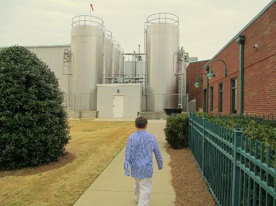 Mayfield Dairy Farms