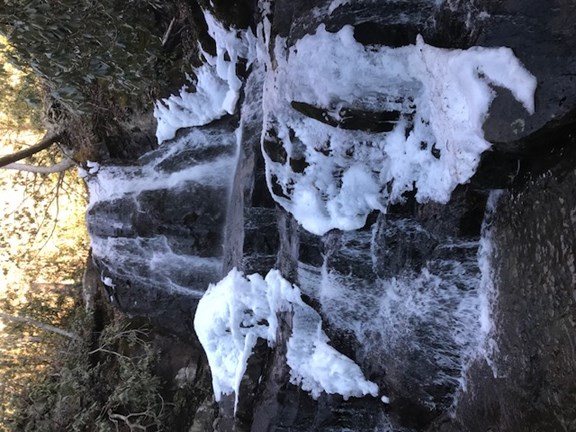 Laurel Falls