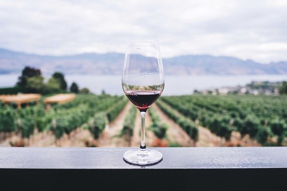 Tsali Notch Vineyards