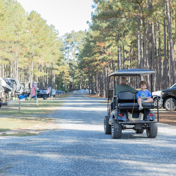 Golf Cart Rentals
