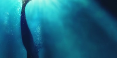 Mermaid & Marine Magic Weekend