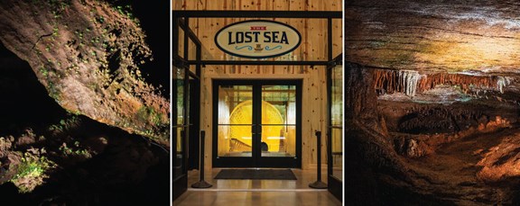 The Lost Sea