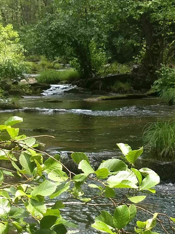 Conasauga Falls Trail