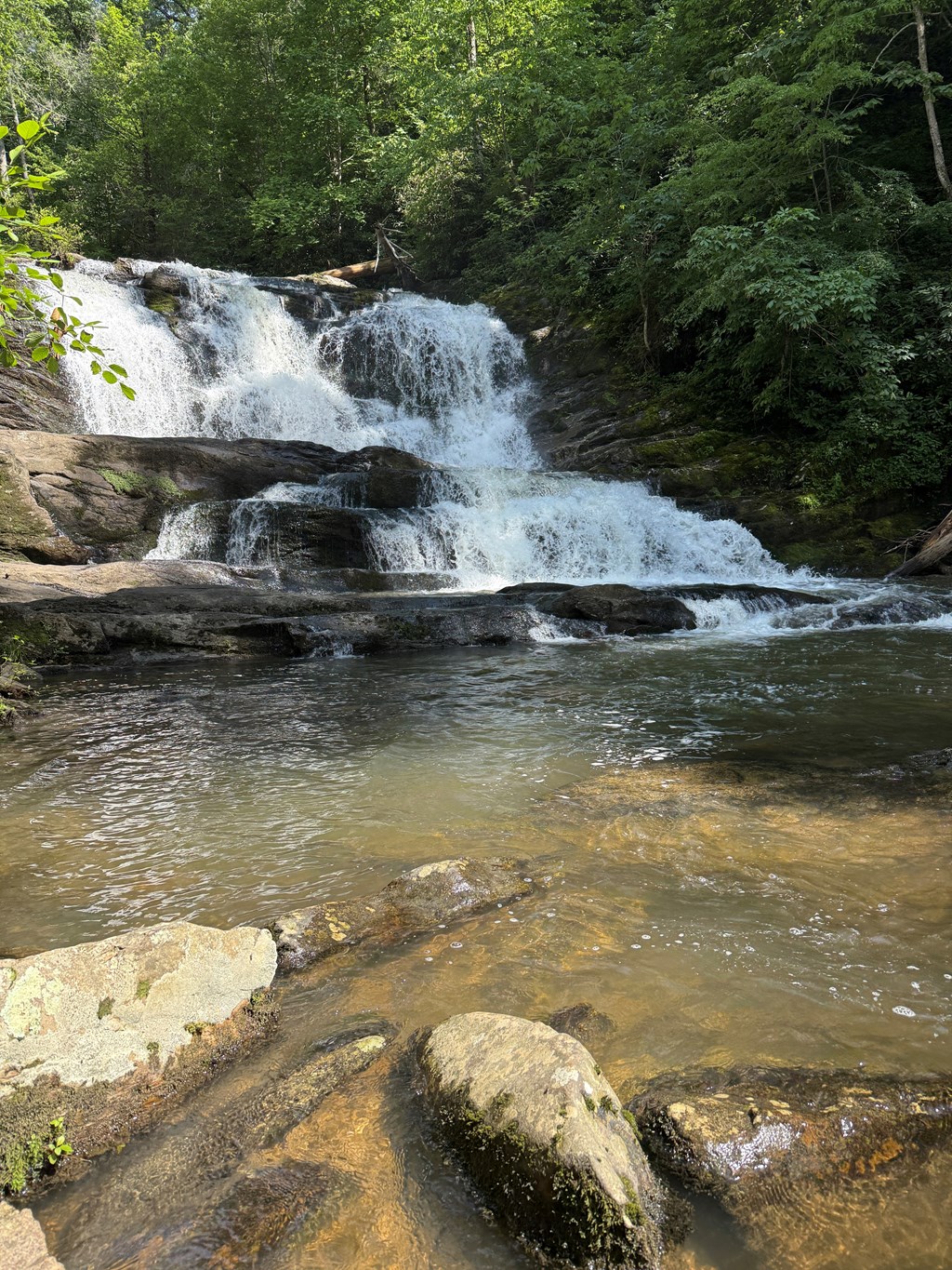 So You Wanna Start Hiking? Start with Conasauga Falls!